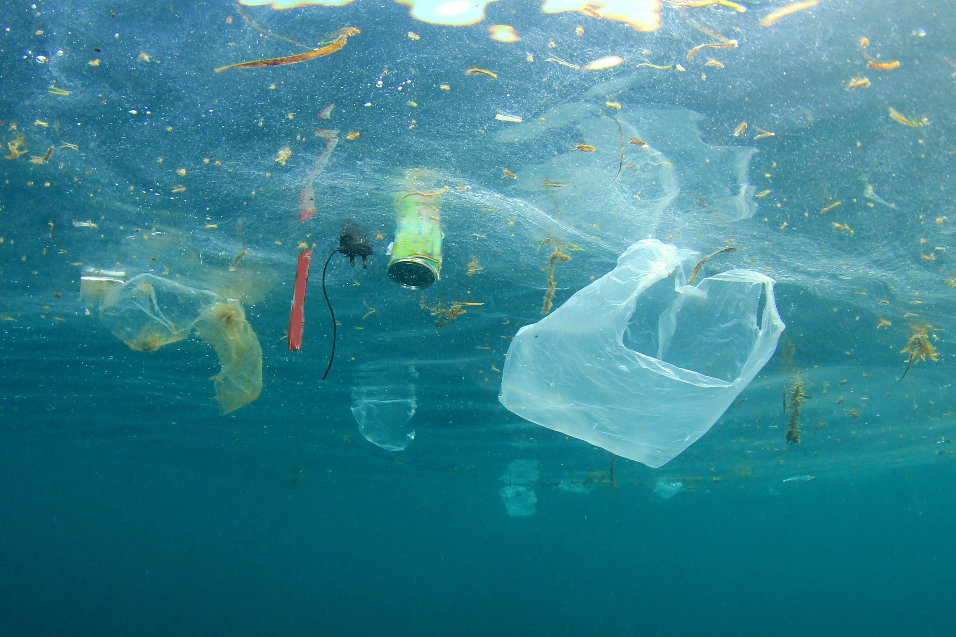 Plastic bags, bottles, straws, cups and other garbage pollute the sea. Underwater photo of trash dumped into sea instead of recycling.