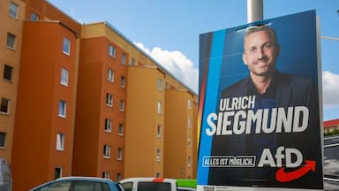 La victoria de AfD en Alemania