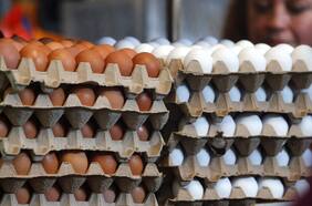 La producción de huevos mejora en junio y se supera la barrera de los 2.000 millones en el semestre