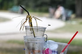 Prohibir los plásticos de un solo uso: el siguiente paso para reducir la contaminación