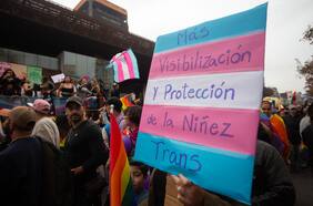 Terapia hormonal en niños trans: subsecretaria Albagli reconoce que “no existe consenso científico” sobre sus consecuencias