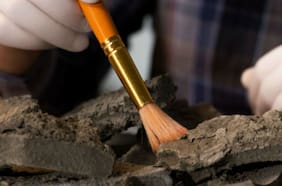 El reimpulso de la arqueología a causa del crecimiento de las ciudades