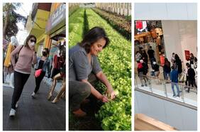 Proyecto de gratificaciones pasa a la sala de la Cámara con reparto máximo de 15% de utilidades y Trabajo buscará acotarlo más