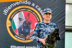 Diplomacia canina: México recibe cachorro donado por Turquía tras muerte de perro rescatista durante terremoto