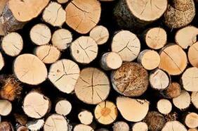 EE.UU. lidera destino de exportaciones chilenas forestales y de salmón a 20 años del TLC