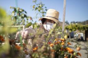 “Un alivio casi inmediato”: Milagrosa recuperación de paciente con depresión severa gracias al primer implante cerebral del mundo
