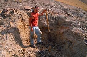 Entre cobras, escorpiones venenosos, temperaturas sobre 40°C y guerras: científico chileno realiza importante hallazgo paleontológico en el remoto Kirguistán