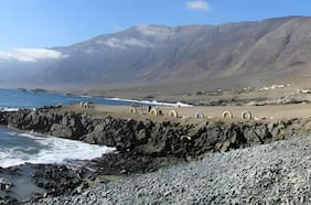 Greenpeace y caso Colbún: “Nos preocupa que se instale una nueva forma de chantaje”