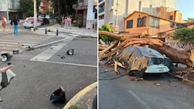 Potente sismo en México sorprende a la presidenta Claudia Sheinbaum en medio de actividad