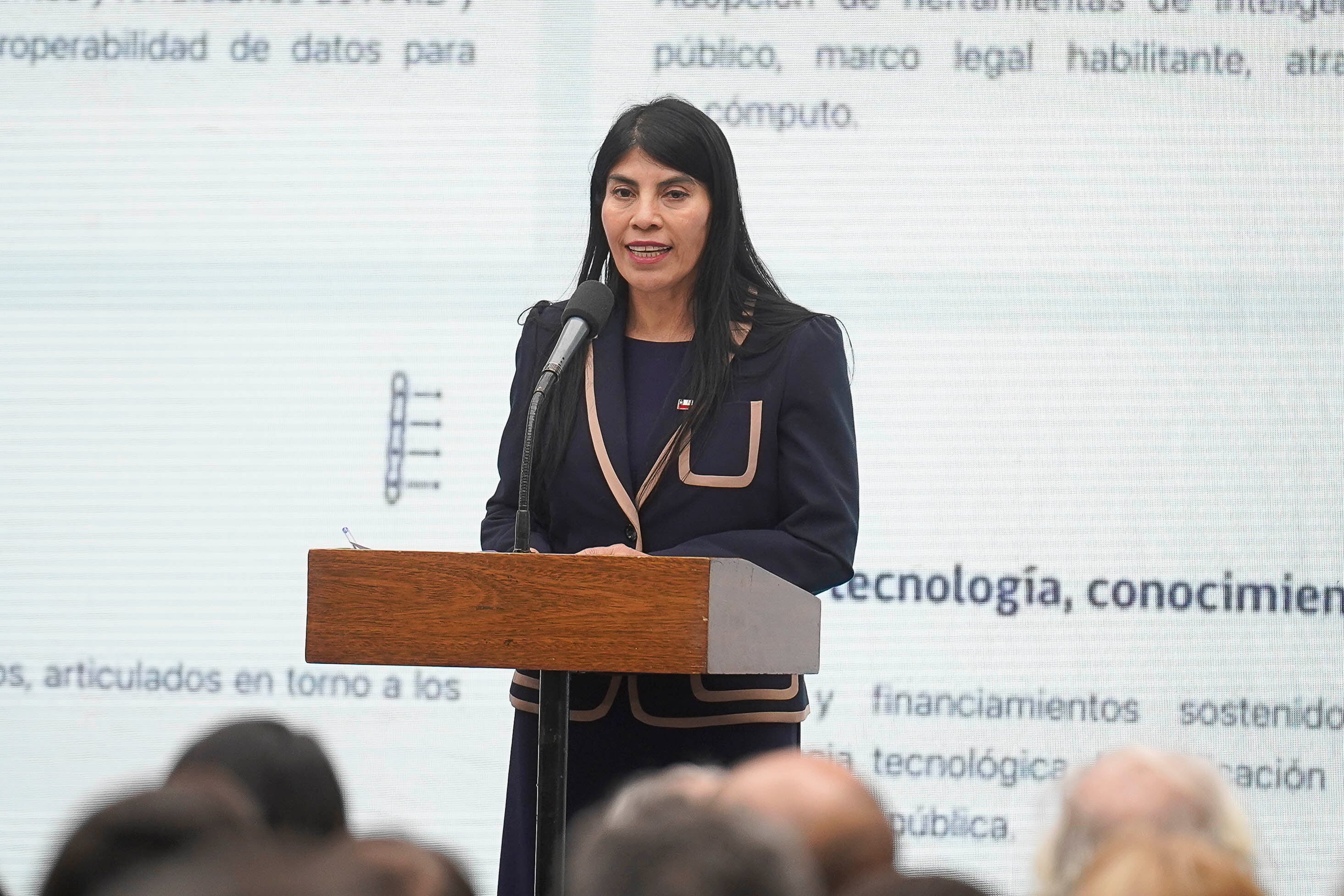 Ministerio de Ciencia detecta 1.666 beneficiarios de Becas Chile en incumplimiento y 379 casos ya judicializados