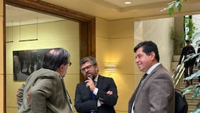Araya vs. Araya: la sorpresiva diferencia táctica que desplegaron los hermanos del PPD en la megarreforma