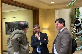 Araya vs. Araya: la sorpresiva diferencia táctica que desplegaron los hermanos del PPD en la megarreforma