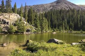 La historia de la familia que intentó vivir lejos de la civilización y murió en un bosque