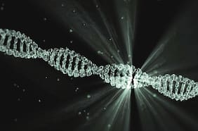 Dos mujeres inventoras de las “tijeras para el ADN” ganan el Premio Nobel de Química 2020