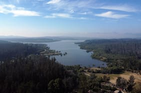 Biodiversidad: de la protección a la ejecución