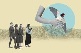 Más allá de las creencias: por qué contar la noticia de un embarazo antes de las 12 semanas