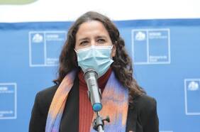 Subsecretaria de Salud Pública y levantamiento de la alerta sanitaria: “Todo apunta a que el 31 de agosto finalizará”