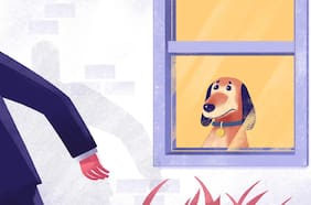 Ansiedad por separación: consejos y productos para evitarla en perros recién adoptados