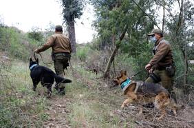 Una fue a pagar una manda y otra desapareció en el Día de la Madre: Carabineros suma 9.443 denuncias por presunta desgracia en 2024