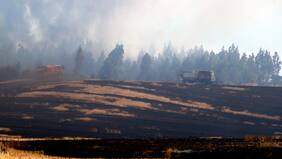 Estas cámaras inteligentes detectan incendios forestales antes de que se propaguen