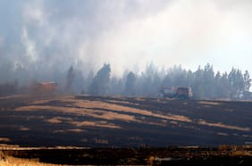 Estas cámaras inteligentes detectan incendios forestales antes de que se propaguen