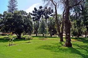 No solo es playa y festival: 7 lugares para descubrir en Viña del Mar