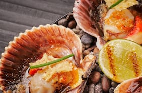 Misceláneo Bar: cocina y coctelería con alma chilena