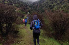 Corrida entre cerros en la VI región