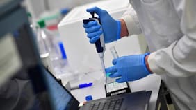 Estudio aborda efecto de las brechas socioeconómicas en el interés por la ciencia: a menores ingresos, menos valor se le da