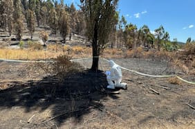 Detienen a mujer que habría provocado el incendio en Los Sauces donde murieron tres brigadistas