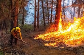 Decretan alerta roja para Nueva Imperial por incendio forestal que presenta rápida propagación