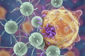 Qué son las células T, el importante descubrimiento para la salud que ganó el Premio Nobel de Medicina