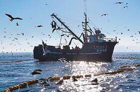 Sernapesca descarta riesgos en otros envíos, tras bloqueo chino a pesquera nacional