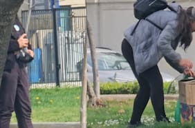 Denuncian insólita caza de palomas en Providencia: restaurante las compraría por mil pesos