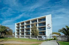 Despiden a directora de carrera y jefe del hospital veterinario por denuncia de sacrificio de perros de comunidad universitaria de La Serena