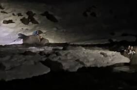 Tras apertura de compuertas: tres personas quedaron aisladas en medio del río Maule en el Paso Pehuenche