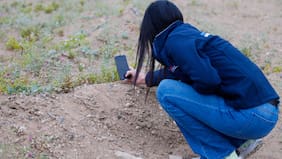 Día nacional del medio ambiente: MMA invita a registrar la naturaleza en red social de ciencia ciudadana