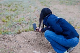 Día nacional del medio ambiente: MMA invita a registrar la naturaleza en red social de ciencia ciudadana