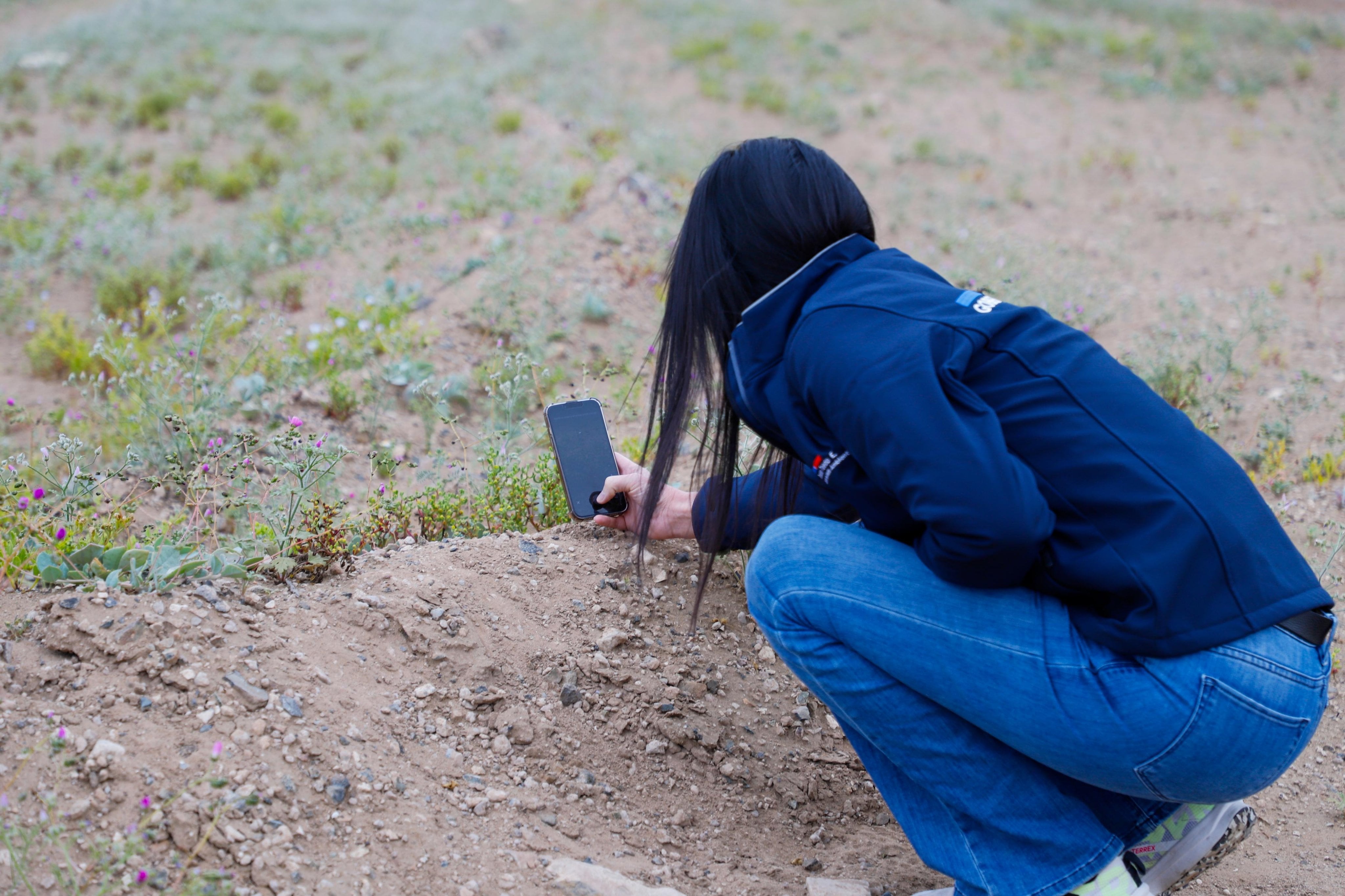 Día nacional del medio ambiente: MMA invita a registrar la naturaleza en red social de ciencia ciudadana