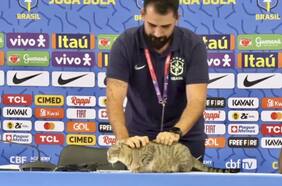 Brasil enfrenta demanda por maltrato animal: arriesga una millonaria multa por arrojar al suelo a un gato en la conferencia de Vinicius Jr.