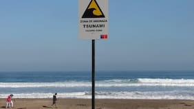 Sismo de magnitud 5.1 en Perú: SHOA descarta posibilidad de tsunami en las costas chilenas