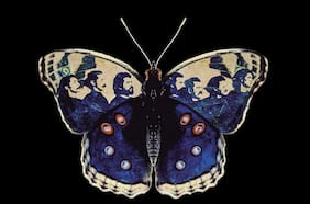 Crítica de discos y singles: Quilapayún es leyenda, Pedropiedra es bachata y Star Moles es otoño