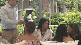 Una tarde de descanso: Dua Lipa visitó la Viña Concha y Toro