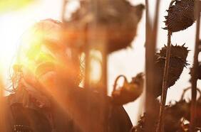 El director de La masacre de Texas de Netflix tiene “algunas ideas realmente geniales” para una secuela