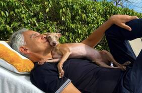 Así es Ginebra, el perro guía de Andrea Bocelli