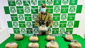 OS7 de Carabineros incautó más de 14 kilos de marihuana tras operativo en Los Ángeles