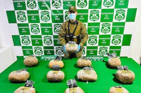 OS7 de Carabineros incautó más de 14 kilos de marihuana tras operativo en Los Ángeles