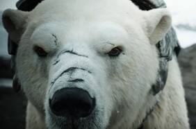 HBO presentó el tráiler oficial de la temporada 2 de His Dark Materials