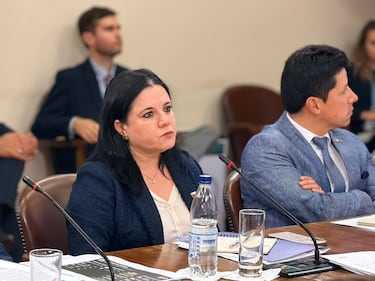 El traslado de cuatro funcionarios de la PDI que gatilló el quiebre de Steinert con la prefecta (r) Peña