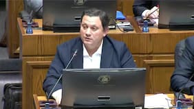 Van Rysselbergue (UDI) explica ausencia en votación por compensación a municipios: “Se generó una descoordinación con mi bancada”